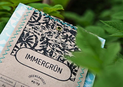 Blüten-Mailing, Detail „Immergrün“